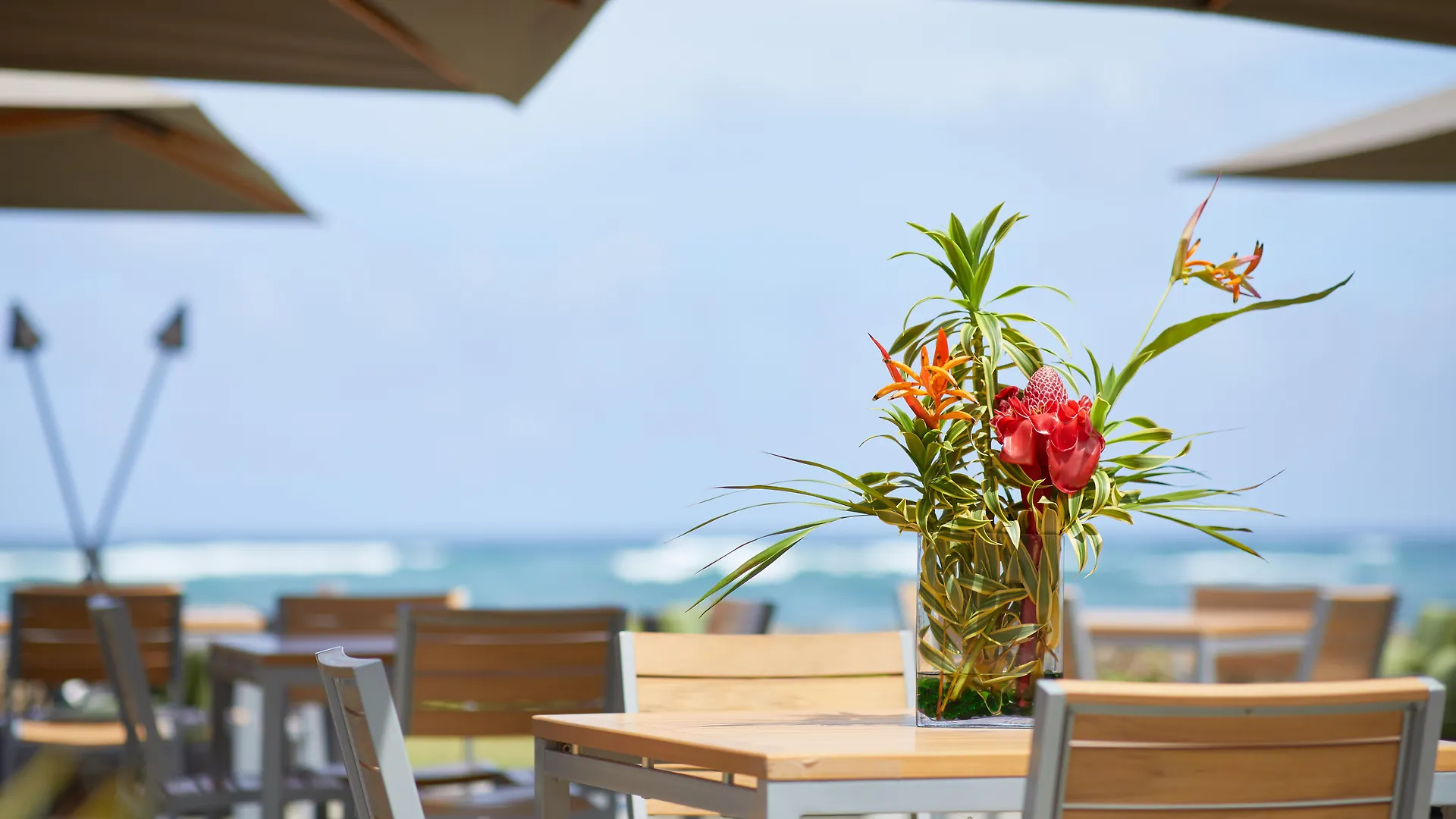 The Iso By Castle Hotel Kapa'a